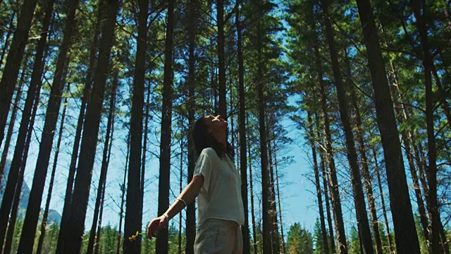 穿过森林的女人视频素材