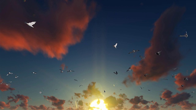 海鸥在美丽的夕阳下飞翔，4K视频素材