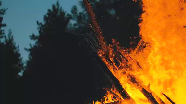 在森林里，树枝上的篝火在夜晚燃烧视频素材