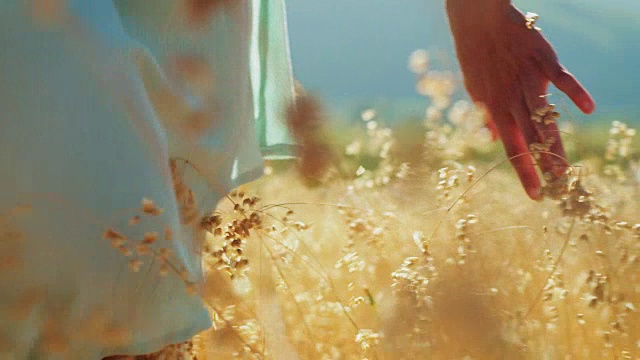 在草地上触摸鲜花的女人视频素材