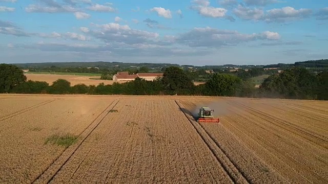 诺曼底乡村的小麦收割视频素材