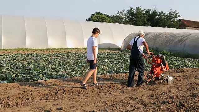 爷爷奶奶和孙子割草和散步，农业活动视频下载