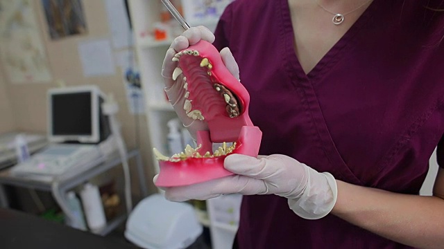 医生的手显示狗的牙齿有疾病视频素材
