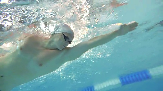 水下视野游泳运动员慢动作自由泳爬泳训练视频下载