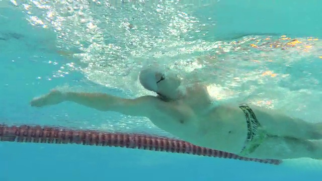 水下观景专业泳池游泳训练，自由式爬泳视频下载