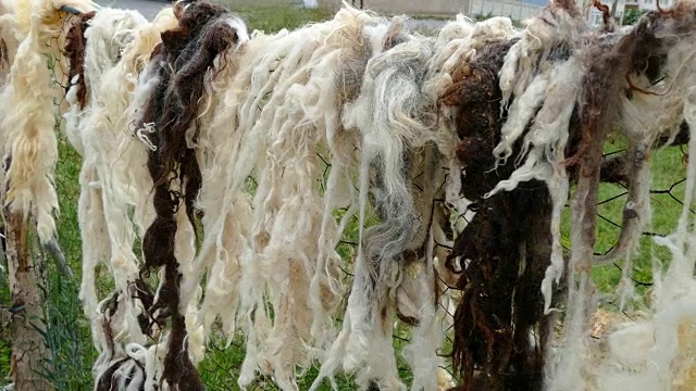 天然羊毛，用来做床、被子和枕头视频素材