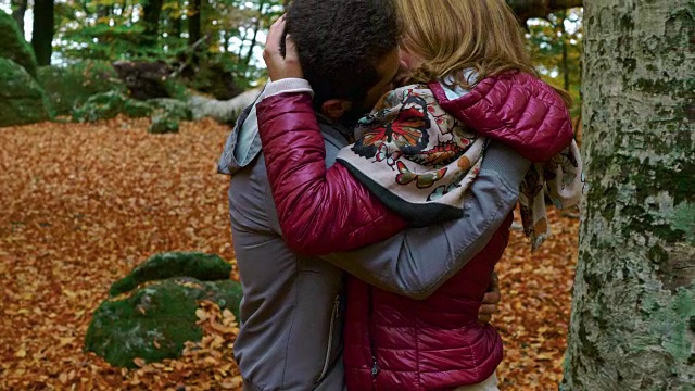 关注在秋季公园里酸楚的情侣之间的激情之吻视频素材