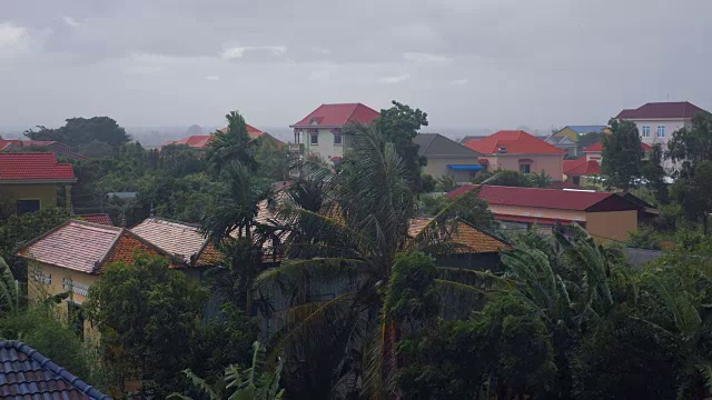 热带风暴带来暴雨，强风吹倒棕榈树和房屋视频素材