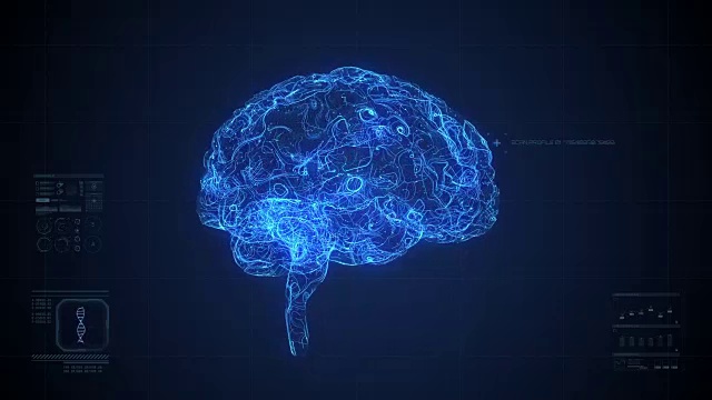 脑部扫描动画视频下载