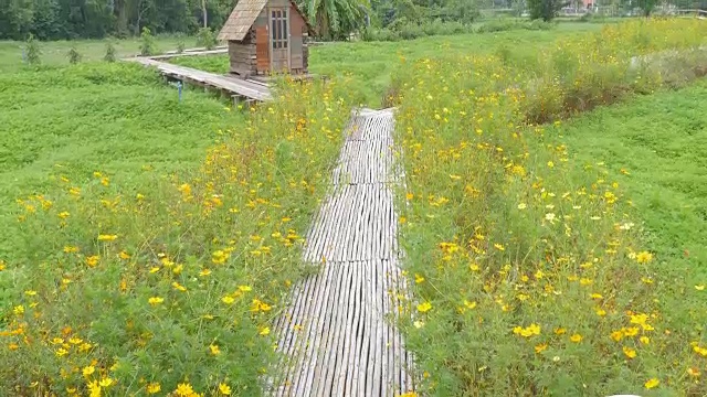 旧的小屋。视频下载