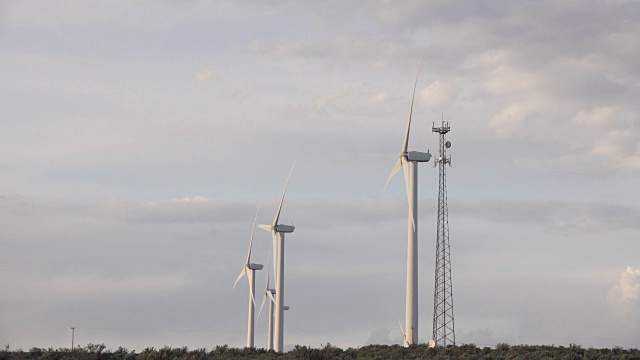 西澳大利亚州Cle Elum附近的风力涡轮机视频素材