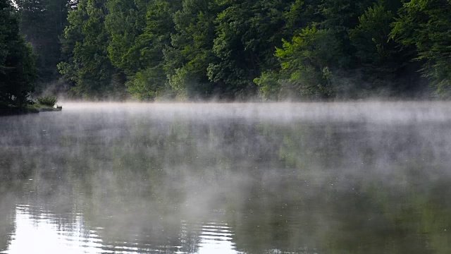 河中晨雾。视频素材
