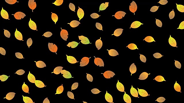秋天的叶子视频下载