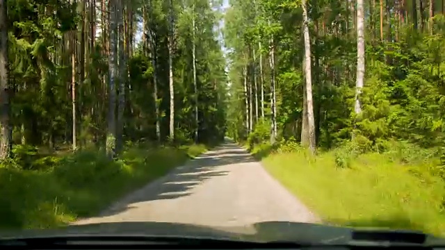 路在一片绿色的森林里视频素材