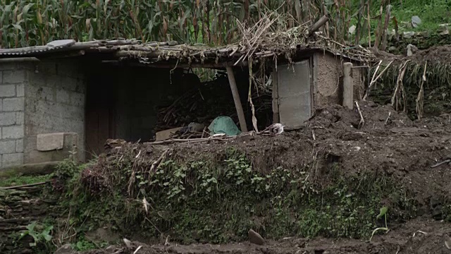 尼泊尔——2015年8月3日:山体滑坡，小房子被毁视频下载