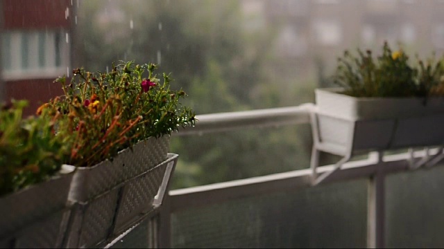 雨落在阳台上——雨天的景象视频素材