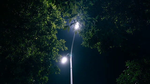 灯在晚上视频素材
