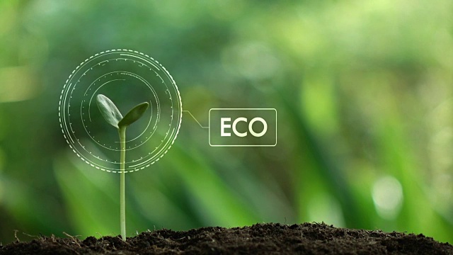 种植一棵树和ECO全息图，拯救地球和自然，清洁生态在自然。视频素材