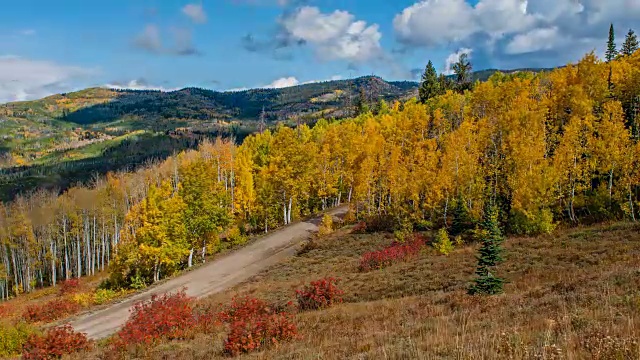 秋天的金色山谷-秋天的云滚动超过一个山谷的金色白杨林，鲁特国家森林，蒸汽船泉，科罗拉多州，美国。视频素材