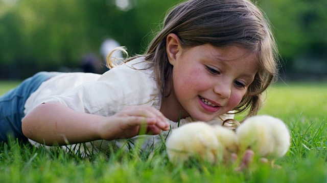 生活中最美好的时刻，甜美的女孩，在公园里与小鸡(黄色)玩耍，在绿色的草地和树木的背景下，理念:孩子、爱、生态、环境、青春。视频素材
