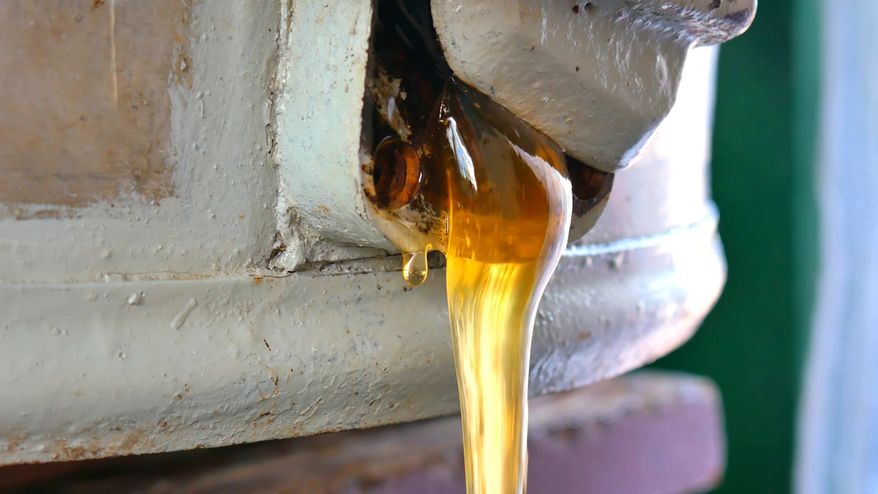 从蜂蜜提取器中提取出来的蜂蜜经原料过滤后进入混凝土中视频下载