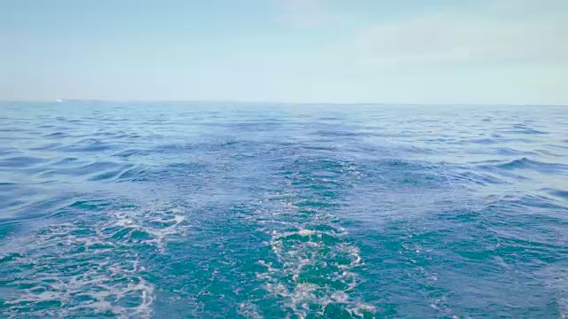 在大西洋航行中，帆船在平静的海面上航行视频下载