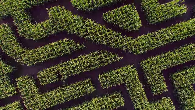 宾夕法尼亚州波科诺斯地区巨大的万圣节玉米迷宫。无人机视频正上方视频下载
