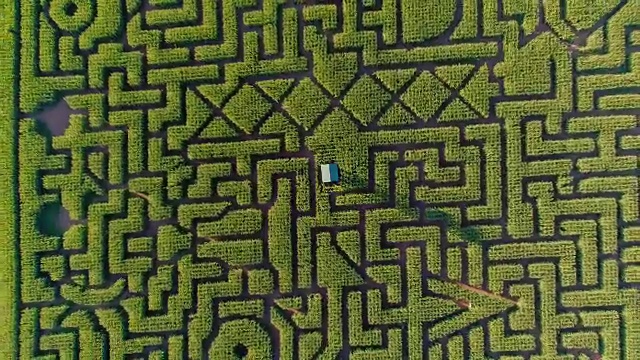 宾夕法尼亚州波科诺斯地区巨大的万圣节玉米迷宫。无人机视频正上方视频下载