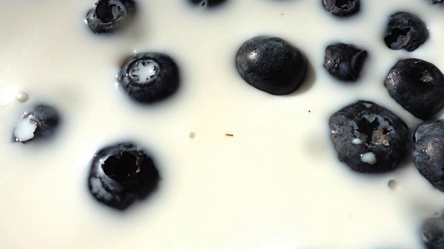 新鲜的蓝莓落入牛奶中，慢镜头视频素材