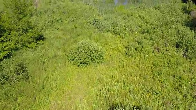 鸟瞰科德莱布拉索夫县附近的一个山湖，罗马尼亚特兰西瓦尼亚视频素材