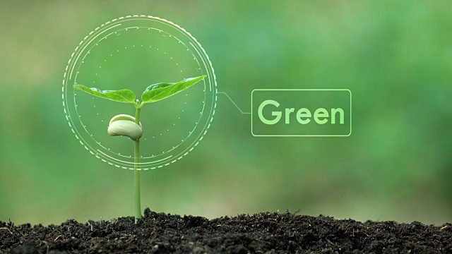 种植一棵树和绿色全息图，拯救地球和自然，清洁生态于自然。视频下载