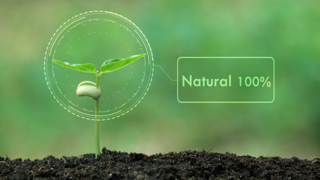 种植一棵树和自然100%全息图，拯救地球和自然，清洁生态在自然。视频下载