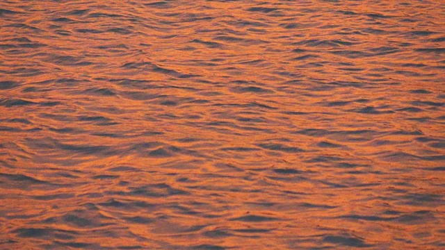落日的海洋视频下载