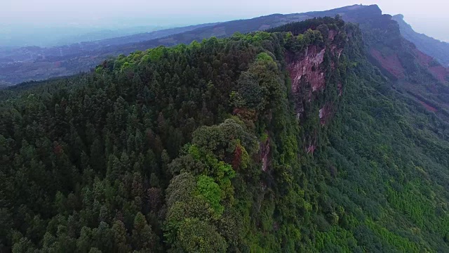 松树上空鸟瞰图，4k视频素材