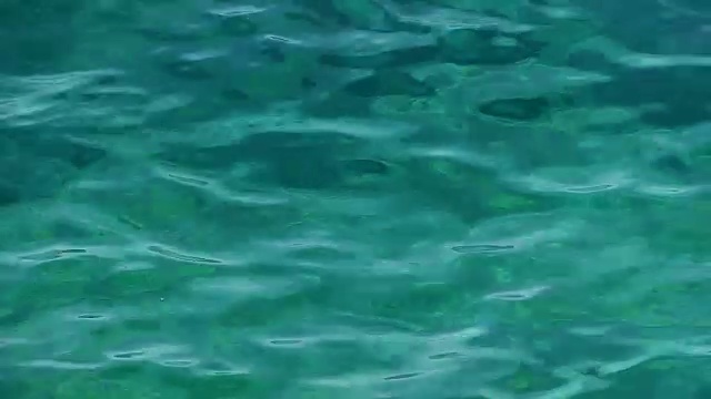 碧绿的海面荡起阵阵涟漪视频下载