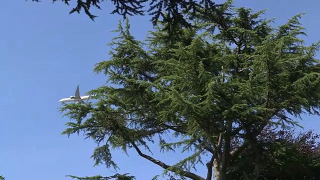 一架飞机在希思罗机场附近着陆视频下载