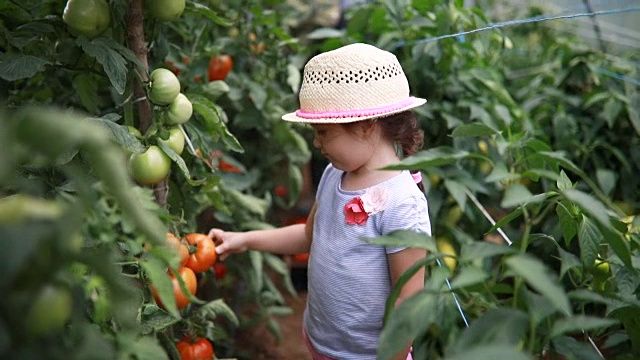 骄傲的孩子抱着她种的第一个番茄视频下载