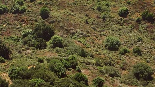 空中的绿色山丘，在背景中看到一个城市视频素材