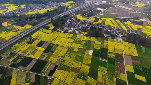 鸟瞰图的中国乡村景观在春天油菜种子盛开和村庄在高速公路视频素材