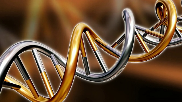 DNA螺旋金色银色外观视频下载