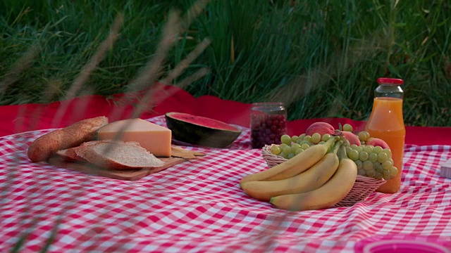 带食物的野餐毯视频下载