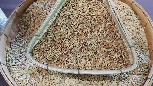 背景从稻谷堆和水稻种子，棕色的稻谷和大米堆的特写视频下载