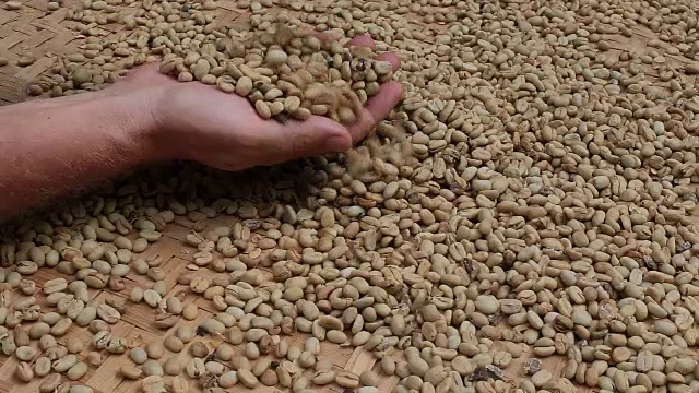 男性的手和未烘焙的咖啡豆背景市场，巴厘岛，印度尼西亚视频下载