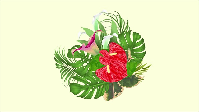 视频动画无缝循环插花花束与美丽的百合花卡拉和红掌，棕榈树，philodendron和榕树热带花卉视频下载