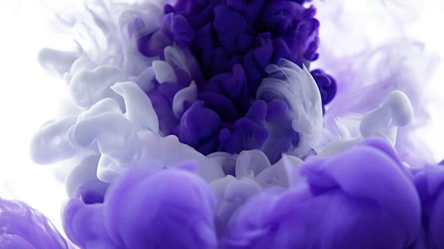 紫色和白色的墨水滴在水里视频素材