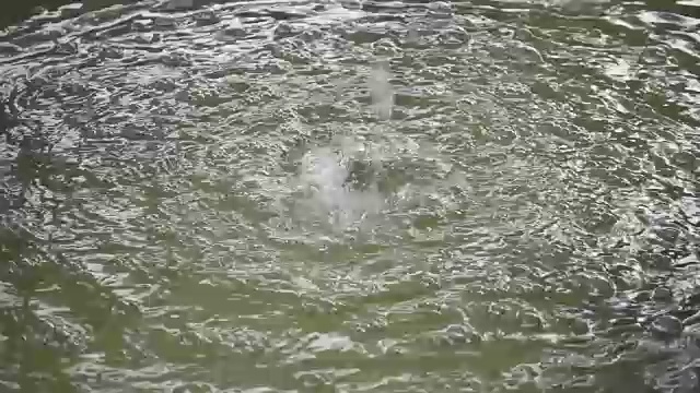 水滴落在水面上的SLO模。视频素材
