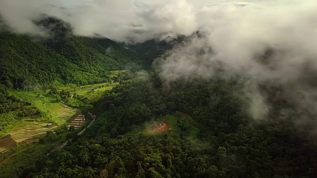 郁郁葱葱的雨林山鸟瞰图视频素材