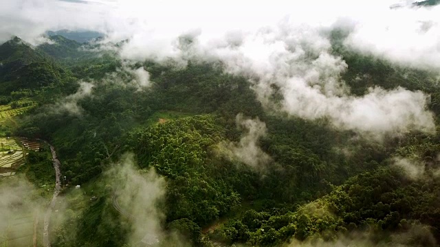 鸟瞰郁郁葱葱的绿色雨林山视频素材