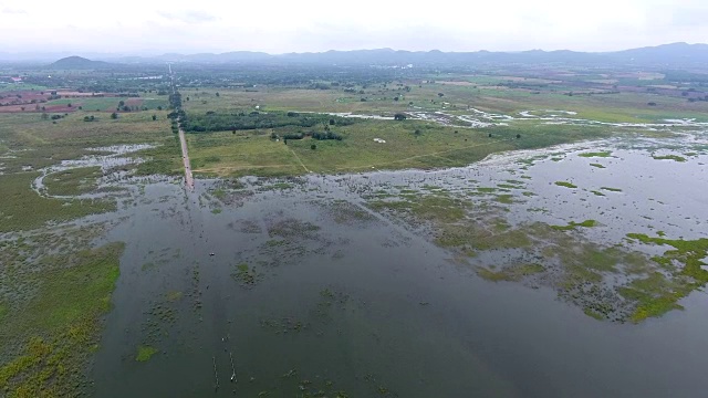 在雨季热带湖泊中穿过淹没的田野的道路鸟瞰图视频素材