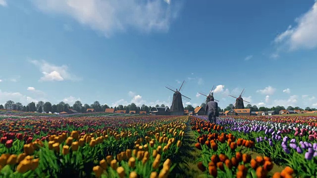 荷兰风车和骑自行车的人在一片郁金香与美丽的天空，无人机飞行4K视频素材